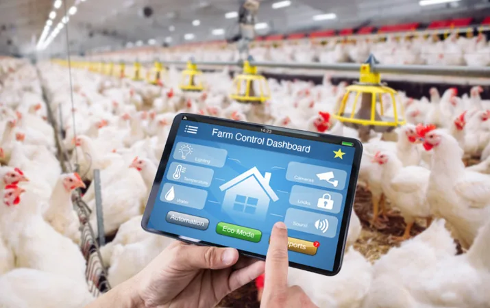 Farmer managing the smart poultry farm from a tablet control dashboard inside the broiler house