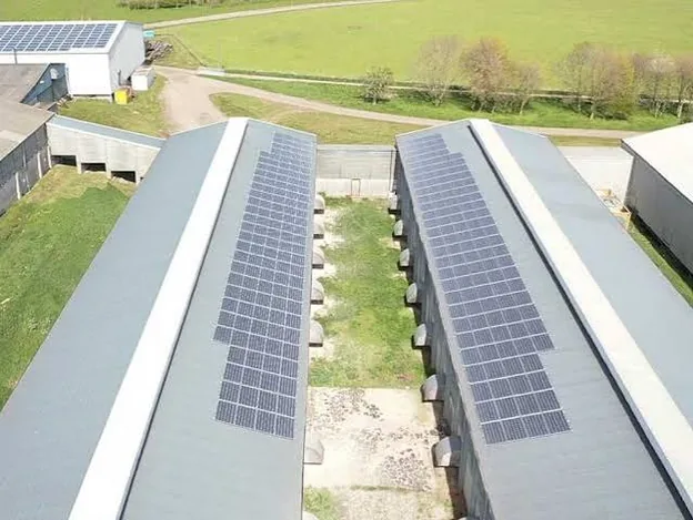 Aerial view of poultry shed rooftops fully covered with solar panels on a CONZFRESH green hybrid farm